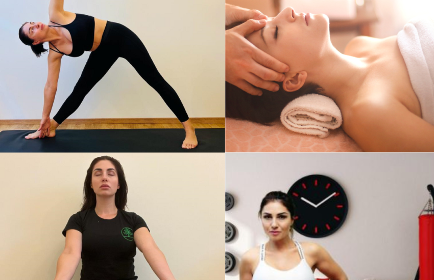 wellness wellness venice